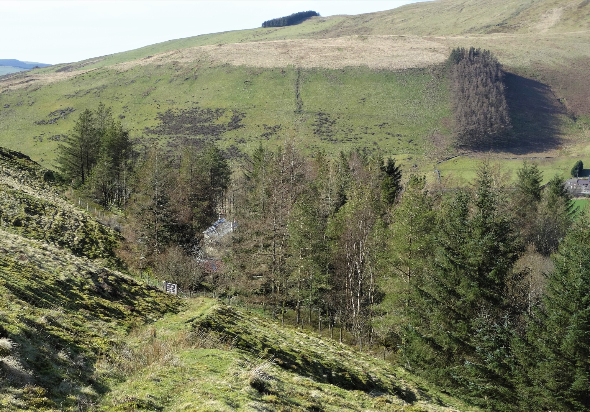 RachelSeabrook.net | Wild Walking | Ponterwyd and Pen Dihewyd | pic37